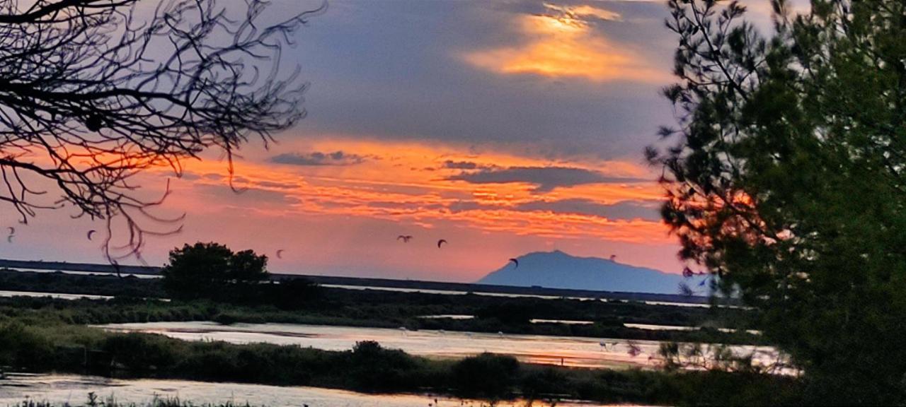 Suite Avec Tropezienne Vue Mer Hyères Exterior foto